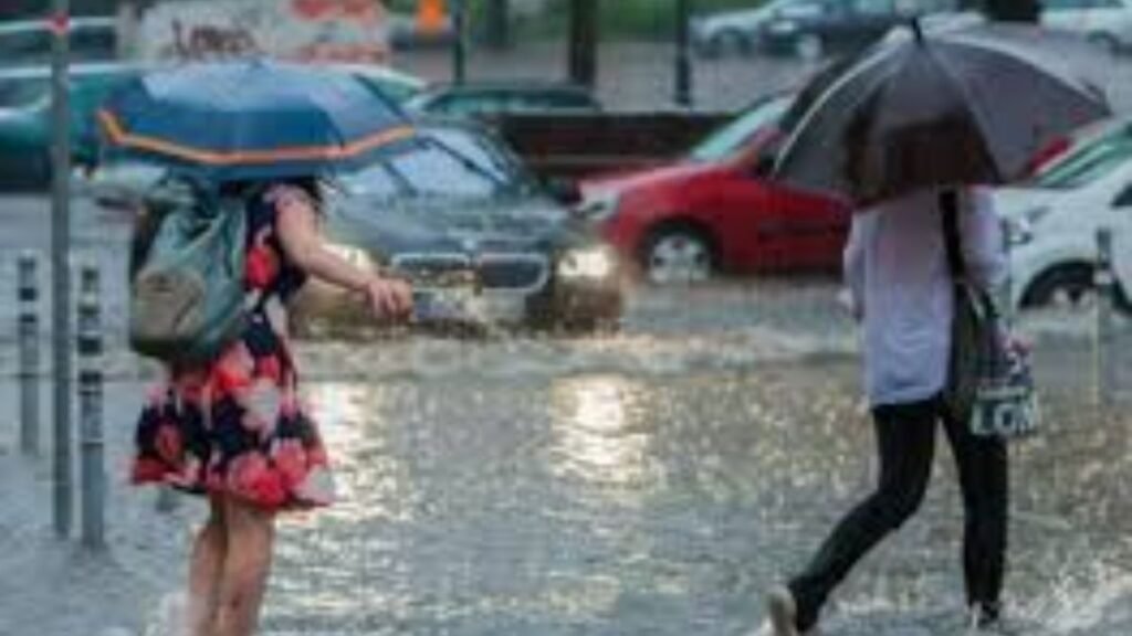 karnal-rain-road-construction-video-viral-quality-questions-investigation