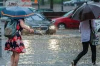 karnal-rain-road-construction-video-viral-quality-questions-investigation