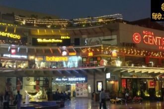 "noida-garden-galleria-mall-accidental-shooting-ghaziabad-police"