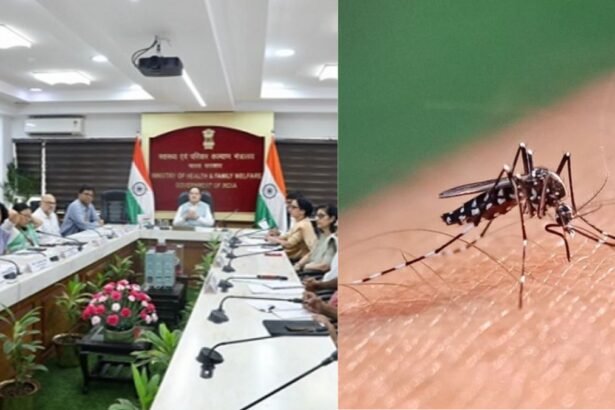 "uttarakhand-dengue-threat-health-minister-preparedness-review"