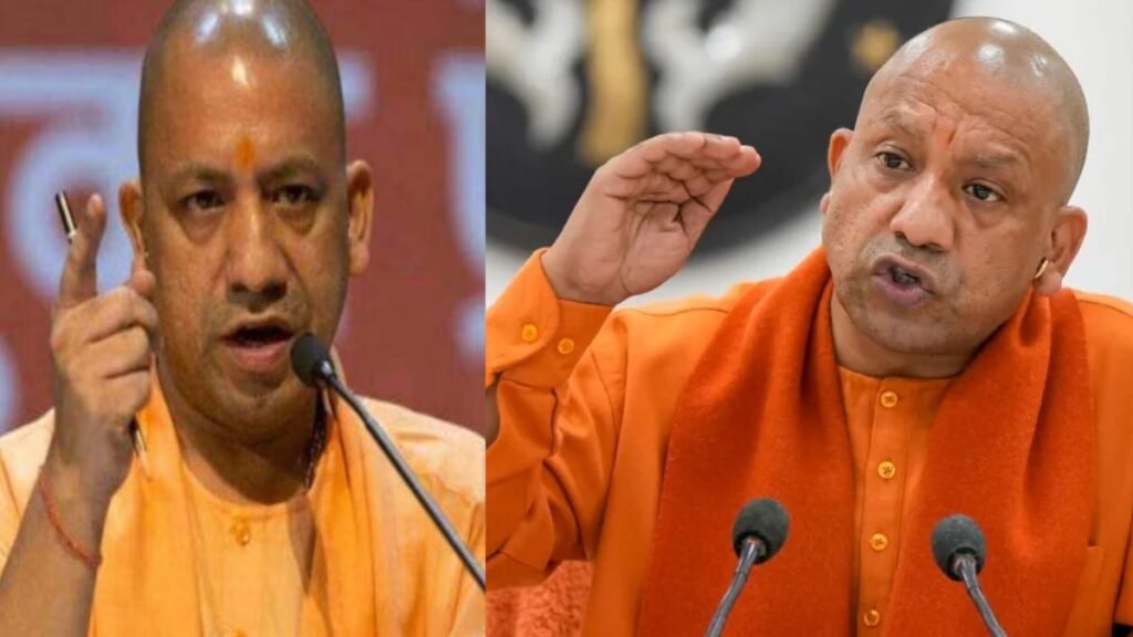 Untitled design (13)