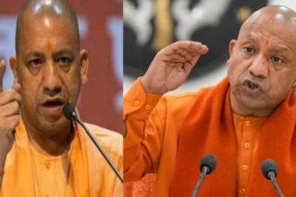 Untitled design (13)