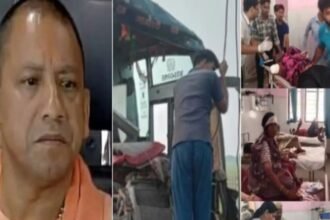 Untitled design (14)