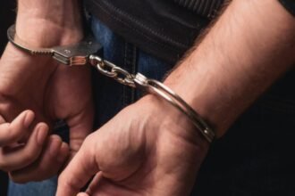 Untitled design (15)