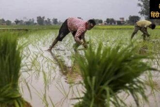 "karnal-monsoon-first-rain-relief-farmers-benefit"