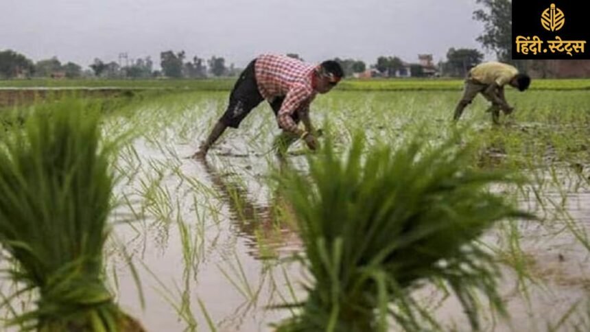 "karnal-monsoon-first-rain-relief-farmers-benefit"