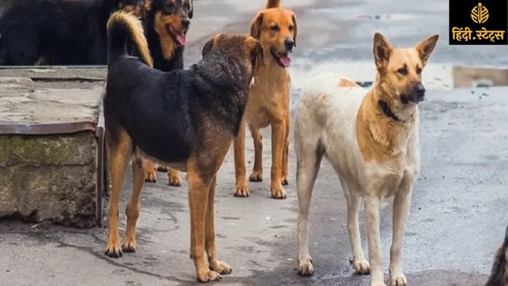 "chandauli-dog-dispute-muslim-hindu-clash-two-injured"