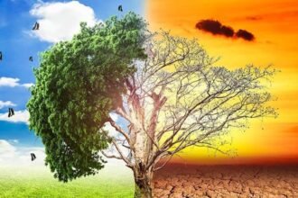 One-tree-in-the-name-of-mother-campaign-started