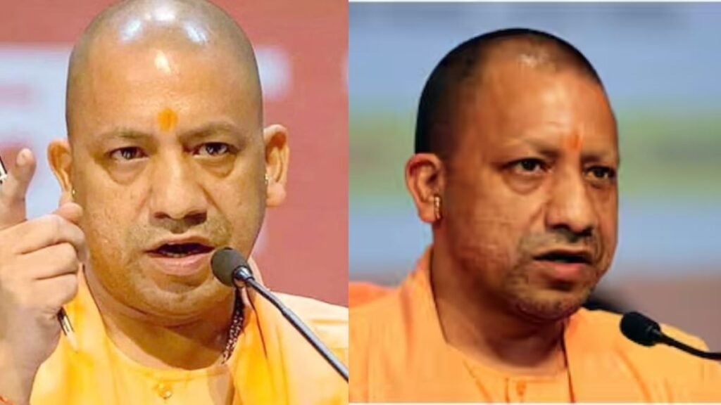 Untitled design (17)