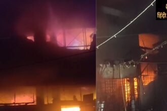 "delhi-mayur-vihar-cafe-yank-fire-control-25-fire-brigade"