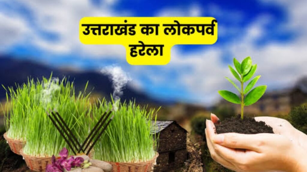 uttarkashi-harela-festival-massive-tree-plantation-drive