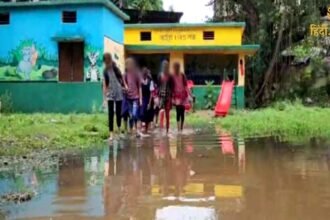 Untitled design - 2024-07-26T193922.687