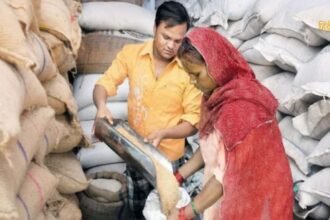 Untitled design - 2024-07-27T120926.113