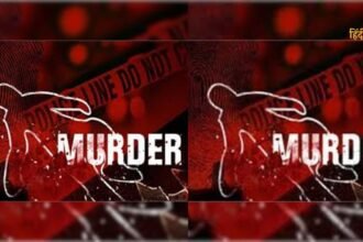 Untitled design - 2024-07-29T105605.939