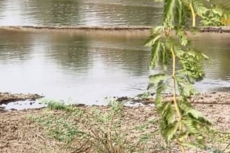 Untitled design - 2024-07-29T111510.879