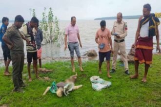 Untitled design - 2024-07-29T123005.160