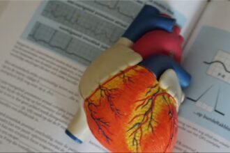 jodhpur-anita-jat-organ-donation-life-saving