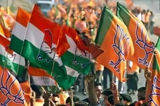 Untitled design (24)