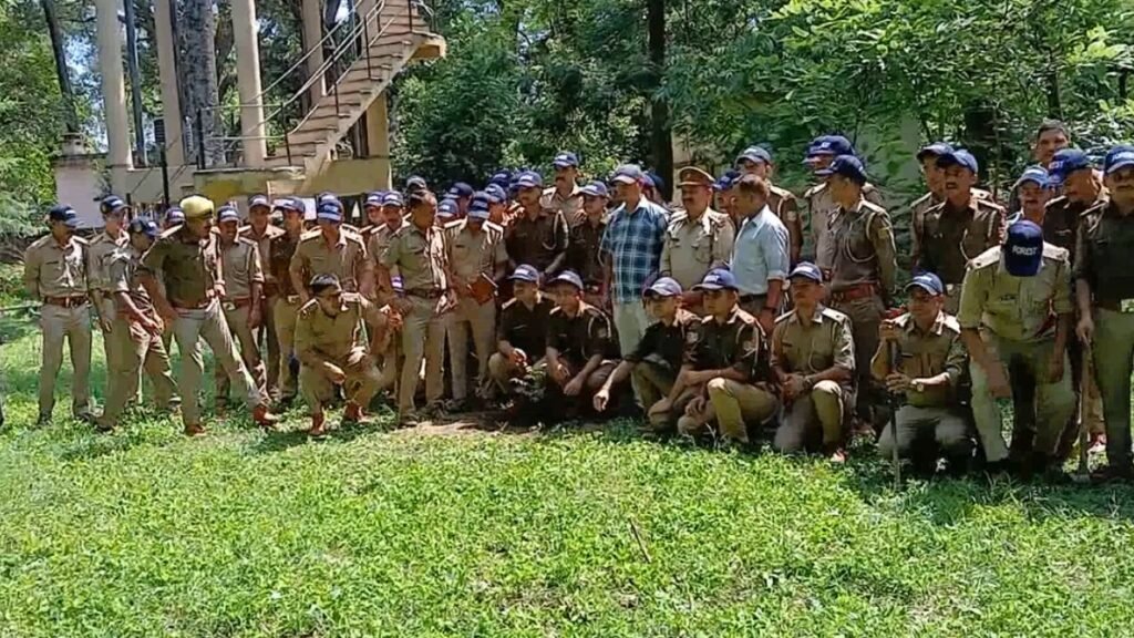 harela-festival-tree-plantation-environment-conservation