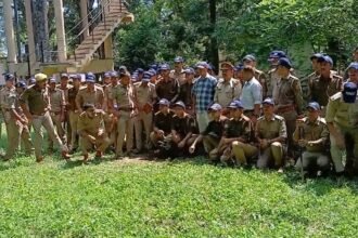 harela-festival-tree-plantation-environment-conservation