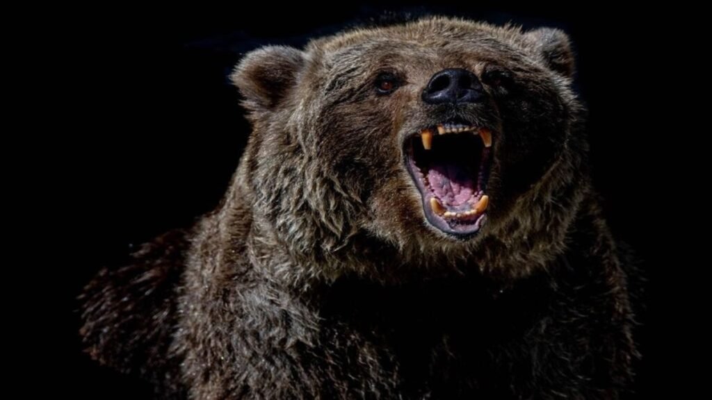 bahriach-man-eater-wolf-attack