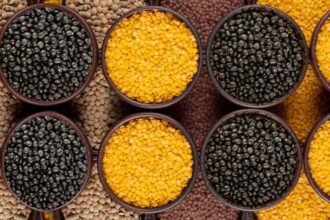 urad-dal-price-drop-monsoon-sowing-2024