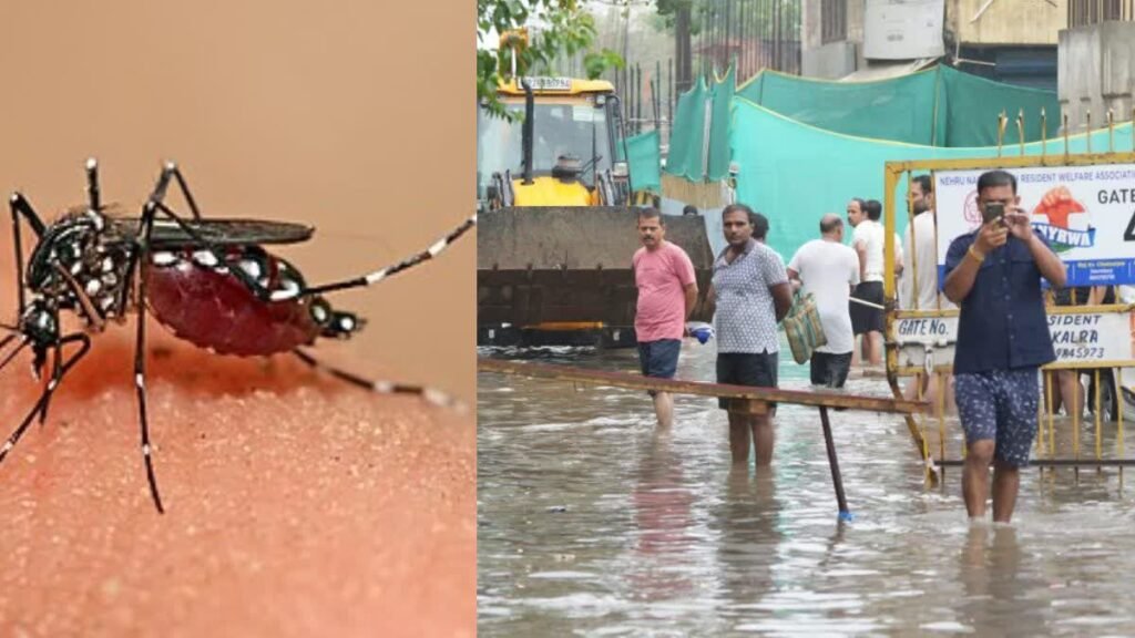 delhi-rains-waterlogging-garbage-dengue-threat