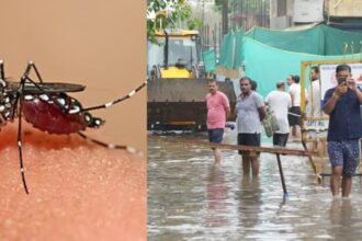 delhi-rains-waterlogging-garbage-dengue-threat