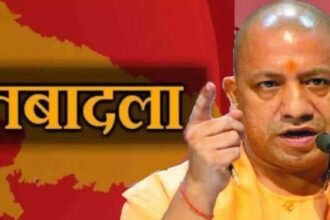 Untitled design (27)