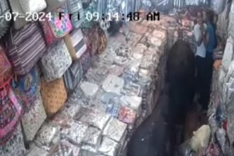 -Stray-bulls-wreak-havoc-in-Munikireti-lives-of-two-girls-working-in-the-shop-saved-