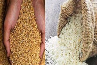 amethi-food-grain-scam-ration-dealer-caught