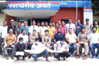 uttarakhand-stf-busts-elephant-ivory-smuggling-ring