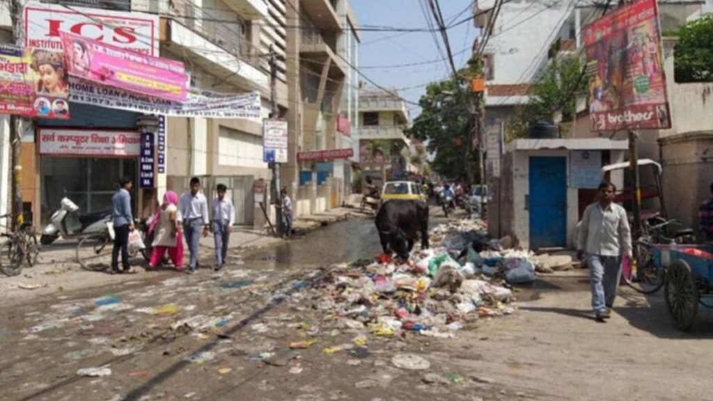 delhi-garbage-piles-public-troubles-government-inaction