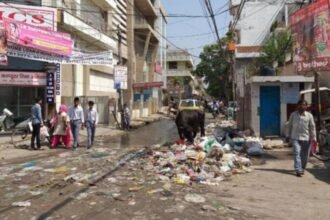 delhi-garbage-piles-public-troubles-government-inaction