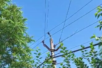 faridabad-kanwariya-accident-high-voltage-wire