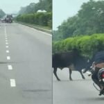 sitapur-dangerous-bike-stunt-with-child-video-viral