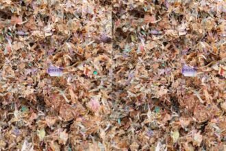 kanpur-cut-notes-found-aroul