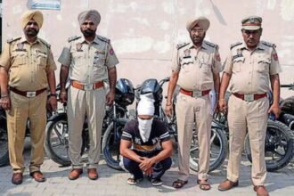 Untitled design (37)