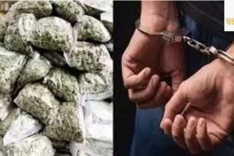 east-delhi-drug-bust-2-kg-ganja-seized