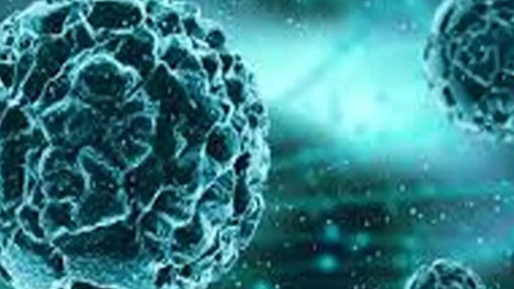 gujarat-chandipura-virus-outbreak-six-children-dead-twelve-infected