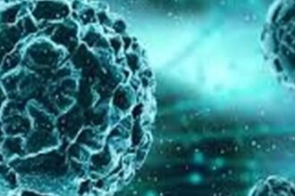 gujarat-chandipura-virus-outbreak-six-children-dead-twelve-infected