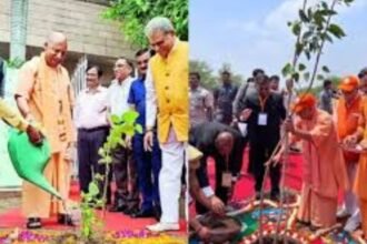 up-plantation-drive-record-cm-yogi-kukrail-river