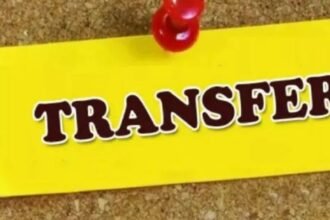 up-ips-transfer-2024