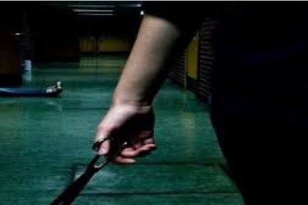 delhi-shopkeeper-murders-customer-scissors-attack