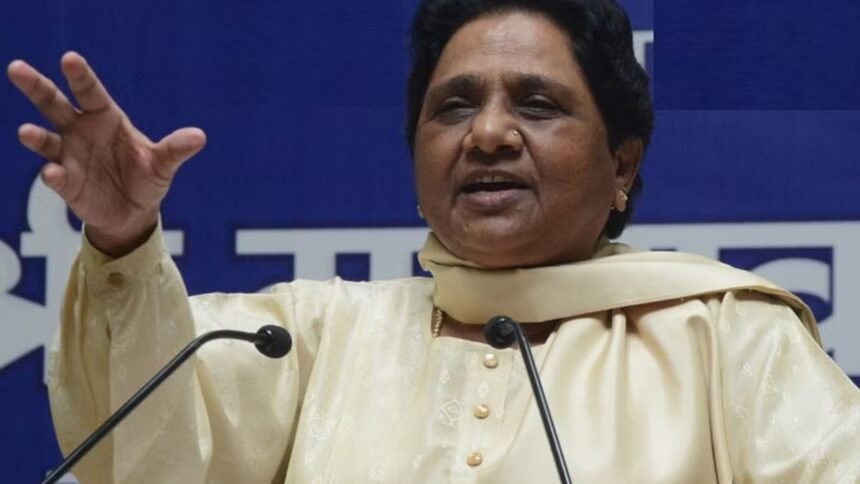 bsp-cadre-vote-dalit-obc-muslim-alliance-district-units