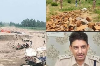 Untitled design (51)