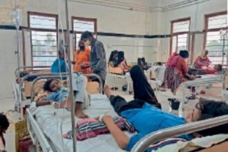 Untitled design (55)