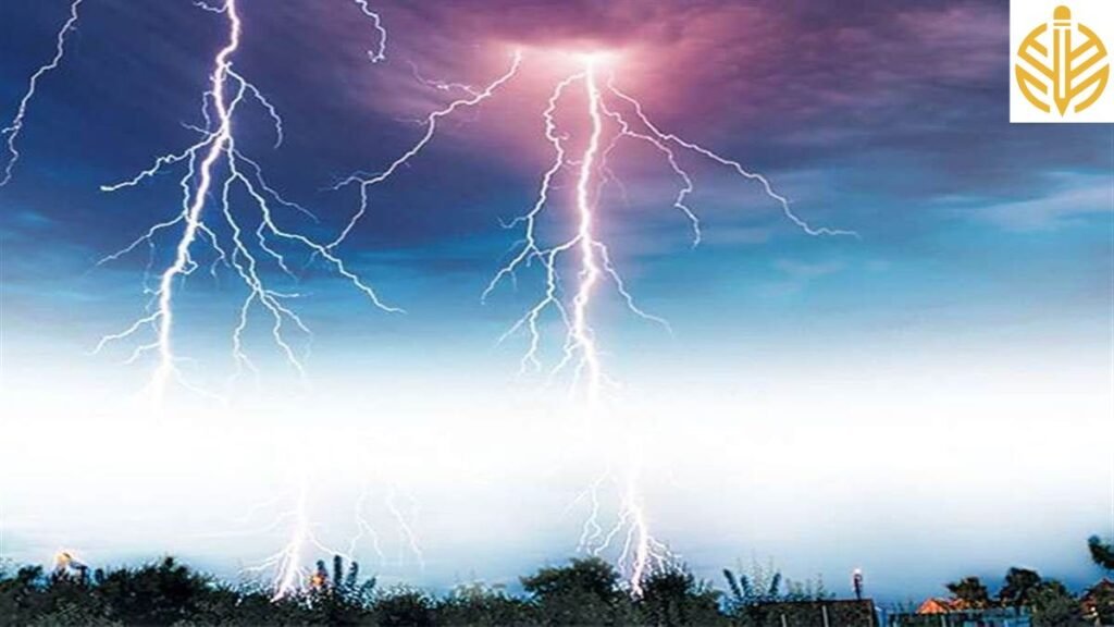 Untitled design 60 M P News: