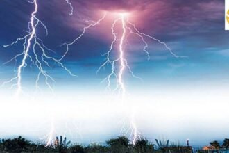 Untitled design 60 Madhya Pradesh News: