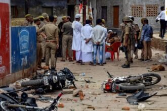 Untitled design (62)